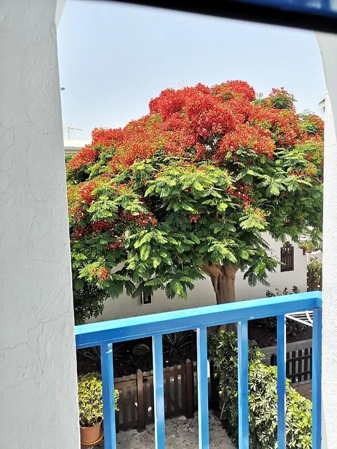 Ferienhaus Maspalomas Casa La Loba