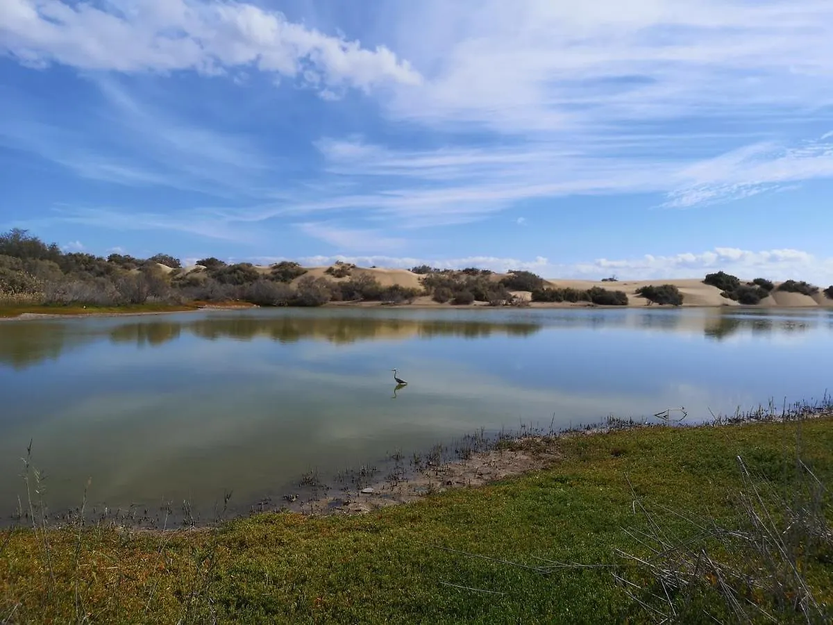 Maspalomas Casa La Loba 0*, マスパロマス