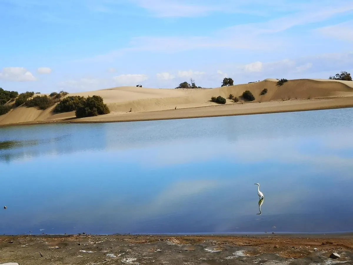別荘 Maspalomas Casa La Loba スペイン